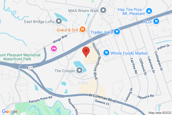 K9 Resorts Luxury Pet Hotel Mount Pleasant