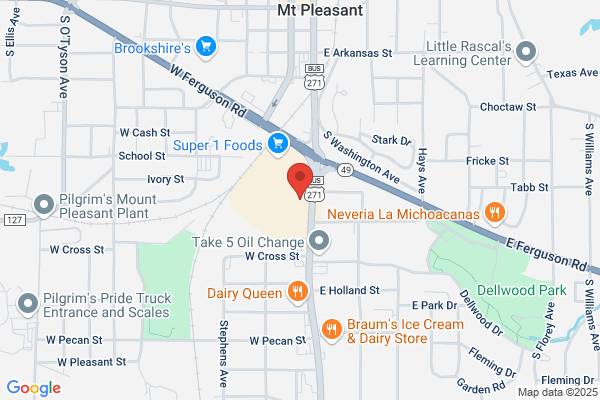 TitleMax Title Loans