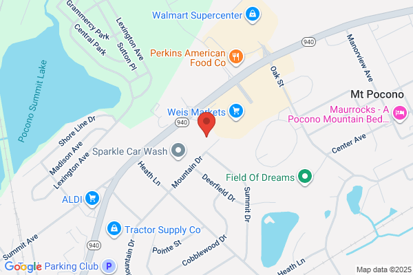 Advance Auto Parts