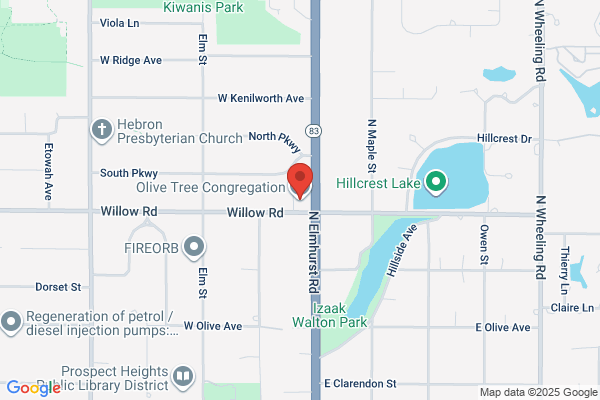 Olive Tree Congregation the