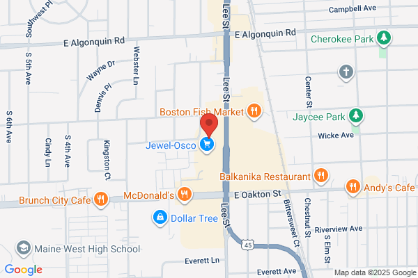 Servicio Latino De Des Plaines