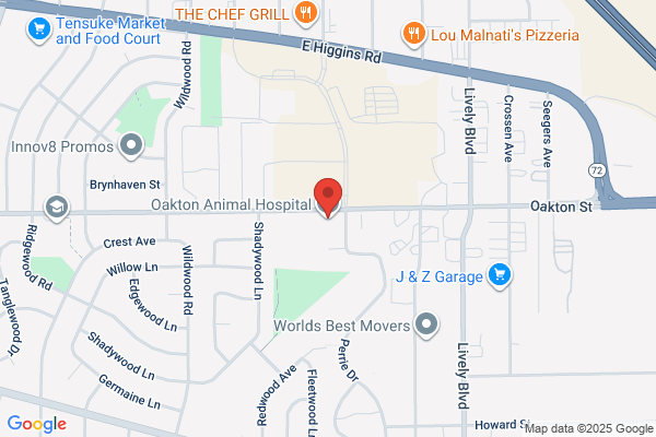 Oakton Animal Hospital