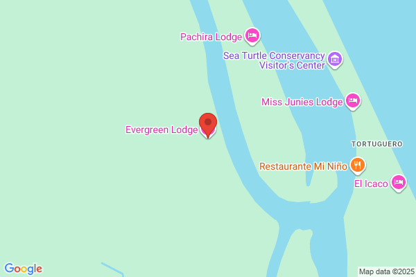 Evergreen Lodge