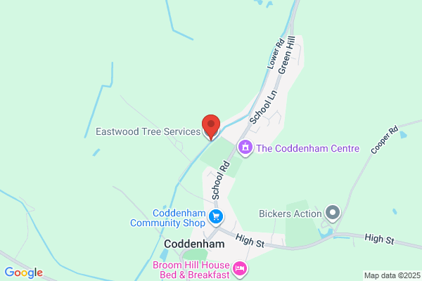 Eastwood Tree Svce