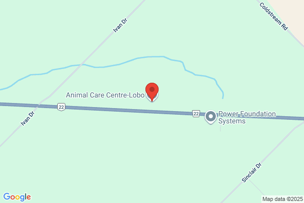 Lobo Animal Rescue Shelter