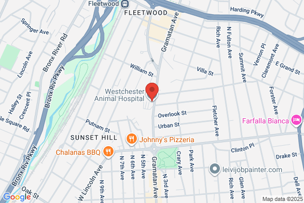 Westchester Animal Hospital