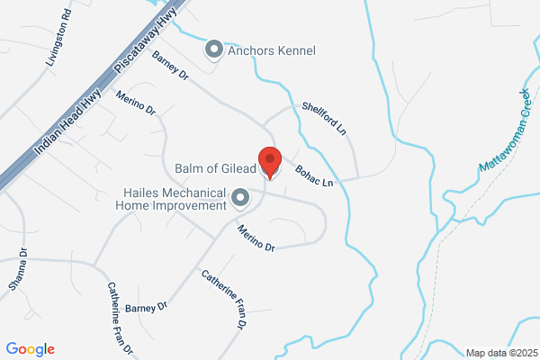 Balm of Giled Home Care Agency Inc