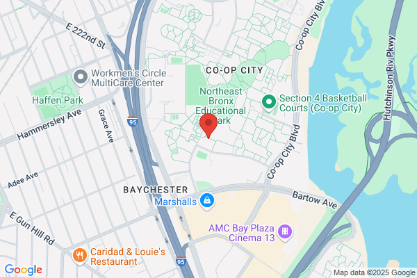 Shanock Robert DDS
