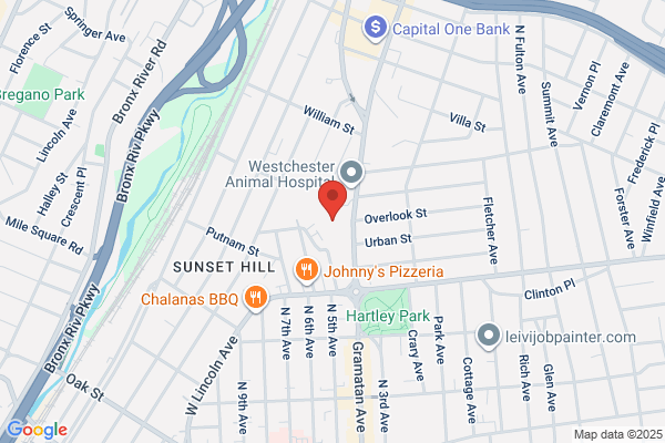 Bronxville Psychiatric Wellness Group