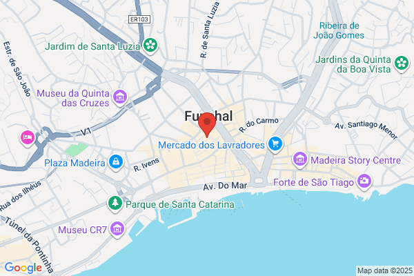 Funchal's Painting