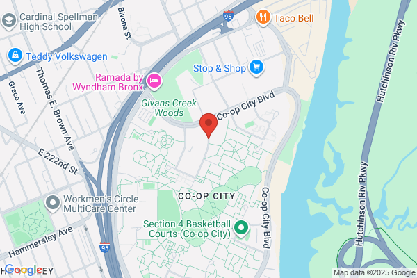 Young Israel of Co-Op City