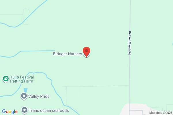 Biringer Nursery