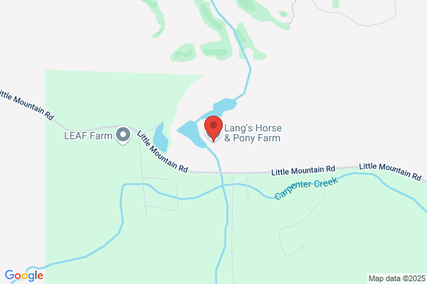 Lang's Horse & Pony Farm