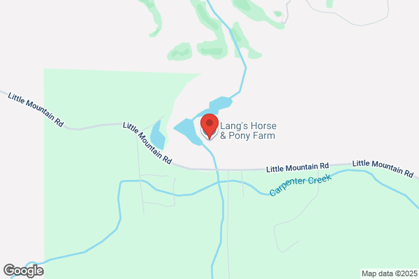 Lang's Horse & Pony Farm