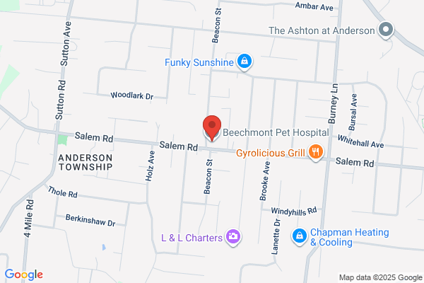 Beechmont Pet Hospital