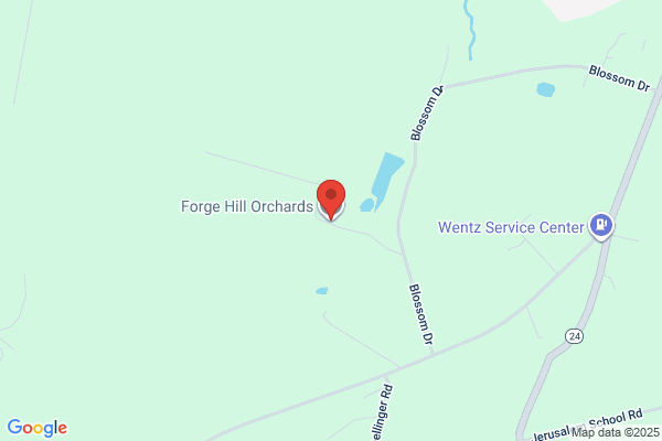 Forge Hill Orchards Inc