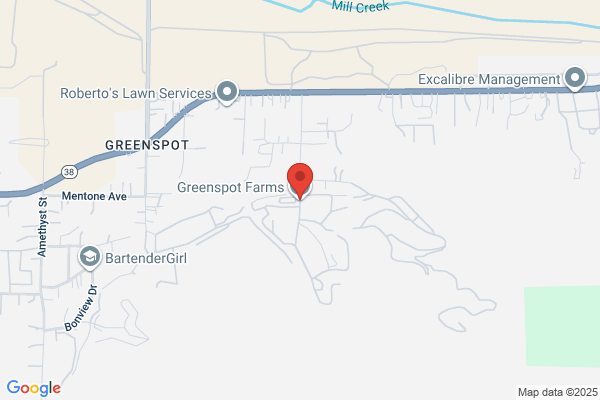 Greenspot Christmas Trees