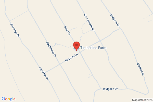 Timberline Stables
