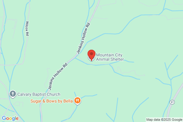 Town of Mountain City Animal Shelter