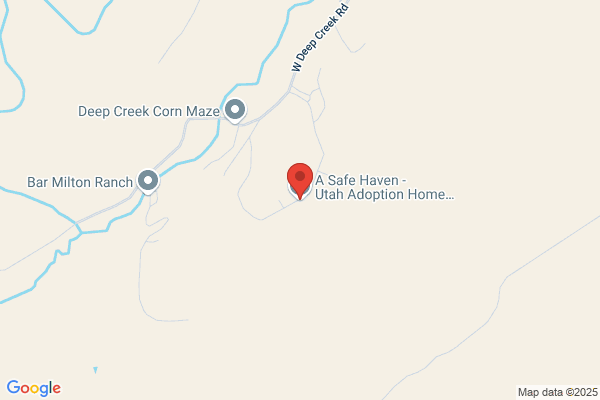 A Safe Haven - Utah Adoption Home Study Services