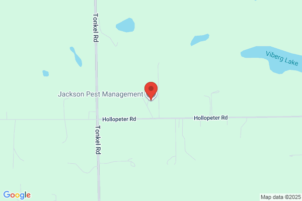 Jackson Termite Co
