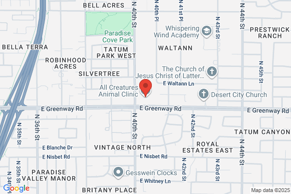 All Creatures Veterinary Hospital