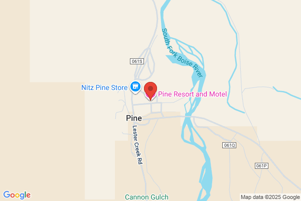 Pine Motor Sports
