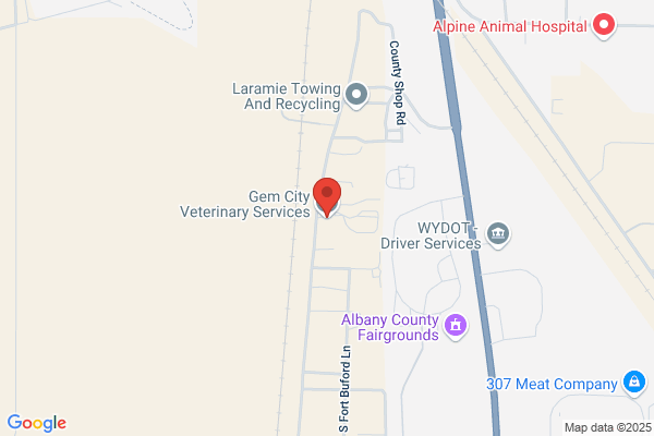 Gem City Veterinary Service