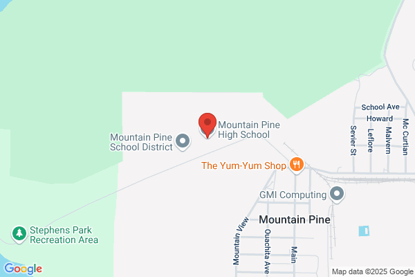 Mountain Pine Public Schools, High School