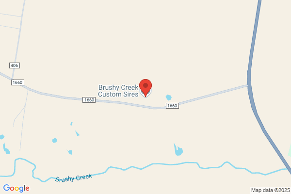 Brushy Creek Collars