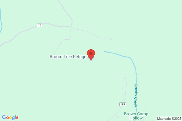 Broom Tree Refuge