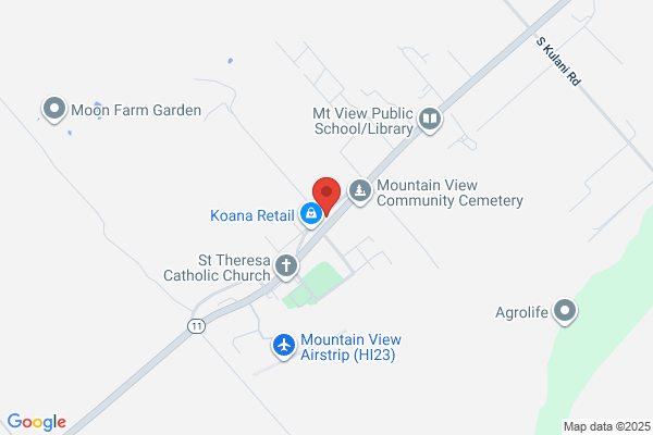 Mt View Mini Mart