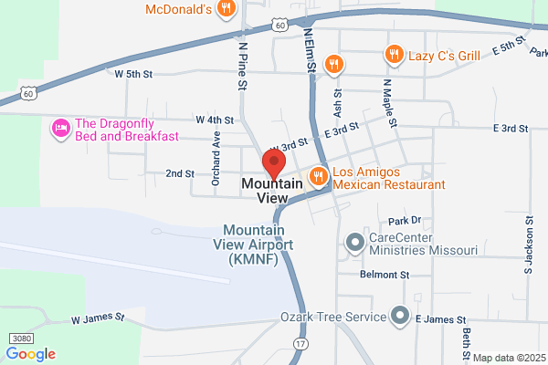 Police, Mountain View