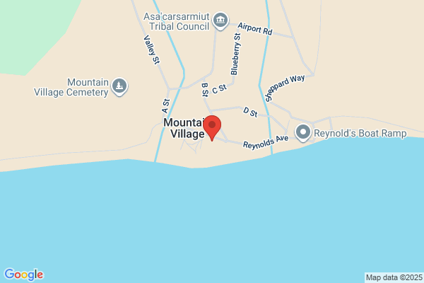 Mountain Village Store