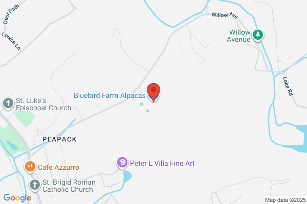 Blue Grass Farms Inc