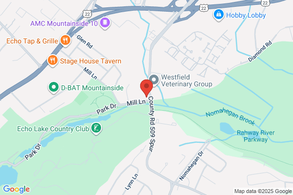 Dental Care Springfield