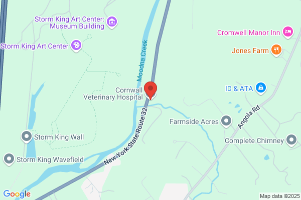 Cornwall Veterinary Hospital, Vet