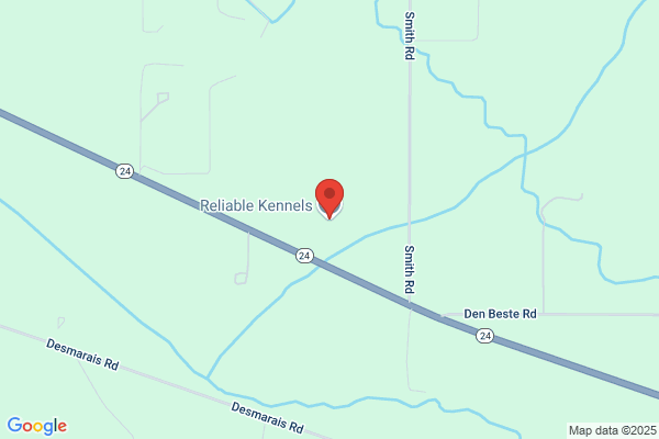 Reliable Kennels