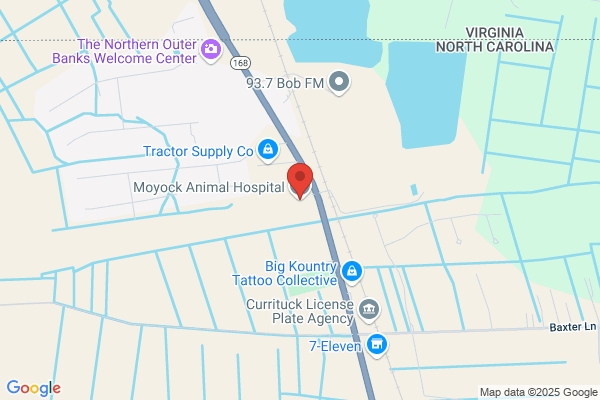 Moyock Animal Hospital