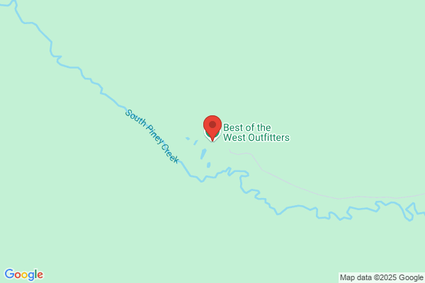 Out West Safaris
