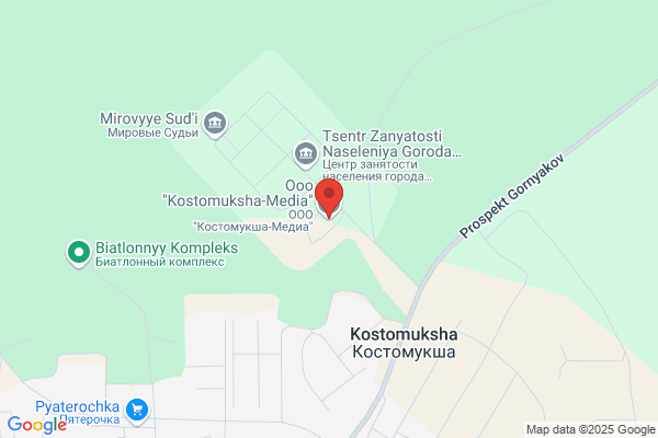 KostopIA Media