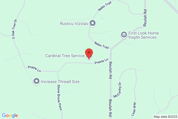 Cardinal Tree Service