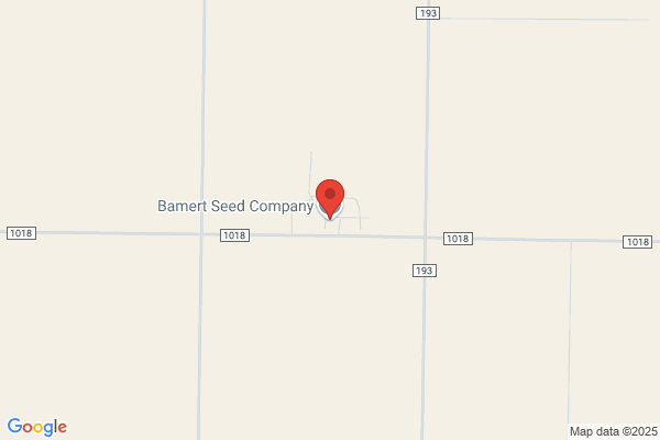 Bamert Seed Company