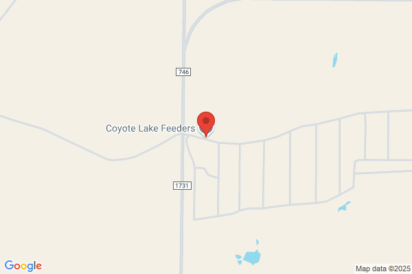 Coyote Lake Feedyard Inc
