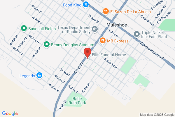 Ellis Funeral Homes