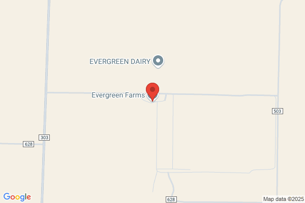 Evergreen Farms