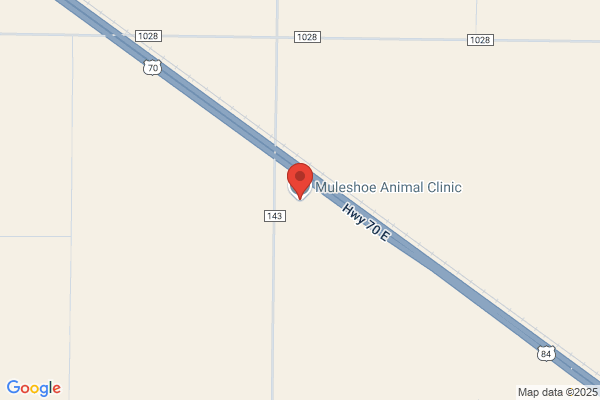 Muleshoe Animal Clinic