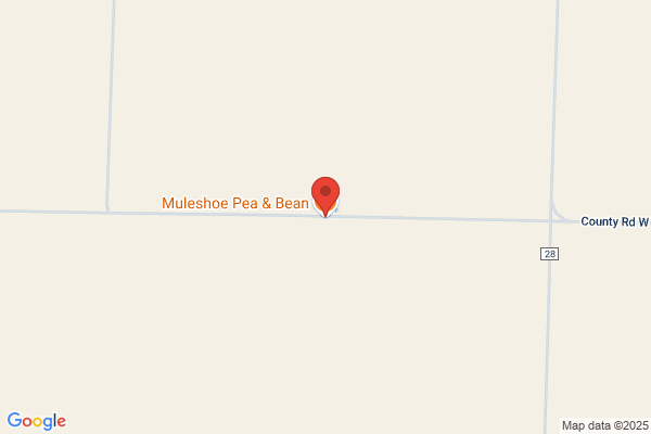 Muleshoe Pea & Bean