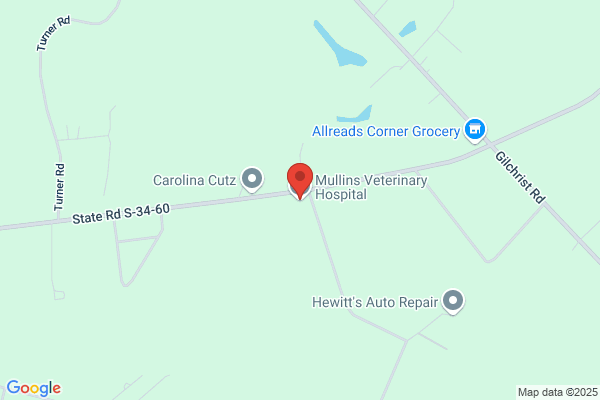 Mullins Veterinary Hospital