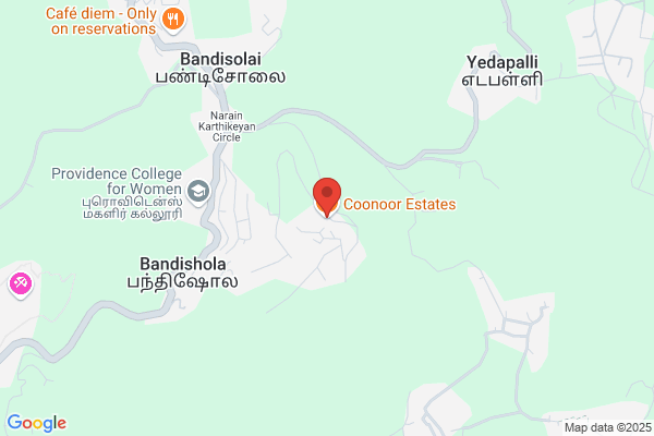 Coonoor Estates